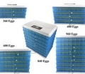 incubator10