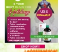 easter sale - Made with PosterMyWall